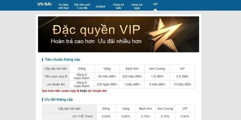 Các dịch vụ cao cấp của đặc quyền VIP