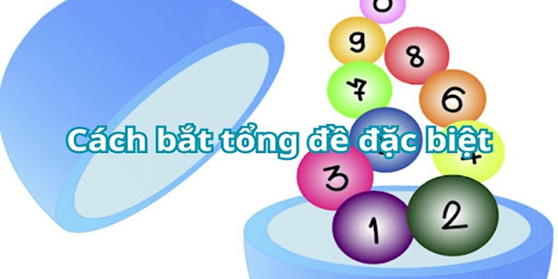 Khái niệm tổng đề là gì?